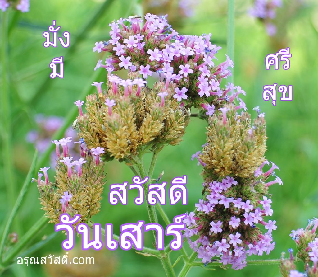 สวัสดีวันเสาร์
