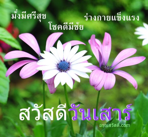 สวัสดีวันเสาร์