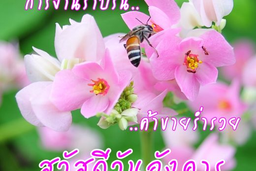 สวัสดีวันอังคาร