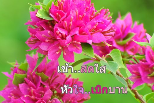 สวัสดีวันอังคาร
