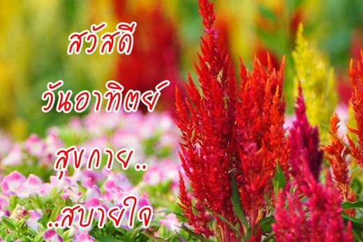 สวัสดีวันอาทิตย์