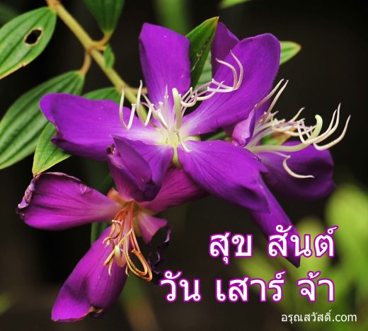 สวัสดีวันเสาร์