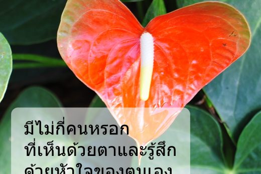 คำคมนักวิทยาศาสตร์ อัลเบิร์ต ไอน์สไตน์