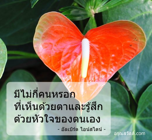 คำคมนักวิทยาศาสตร์ อัลเบิร์ต ไอน์สไตน์