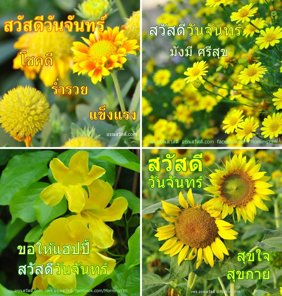อรุณสวัสดิ์