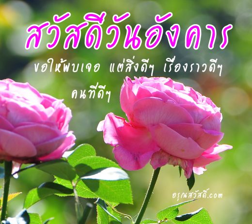 สวัสดีวันอังคาร