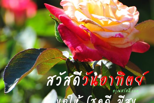 สวัสดีวันอาทิตย์
