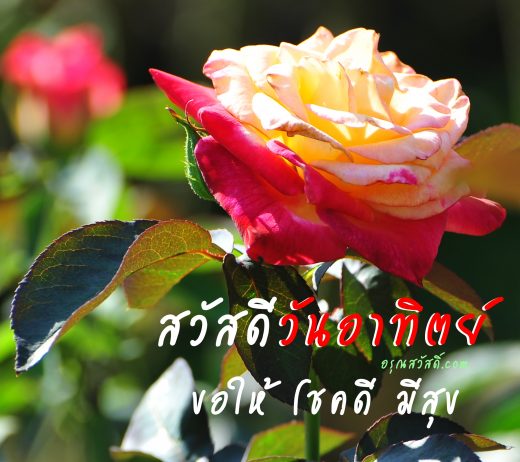 สวัสดีวันอาทิตย์