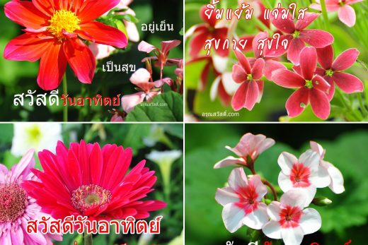 อรุณสวัสดิ์วันอาทิตย์