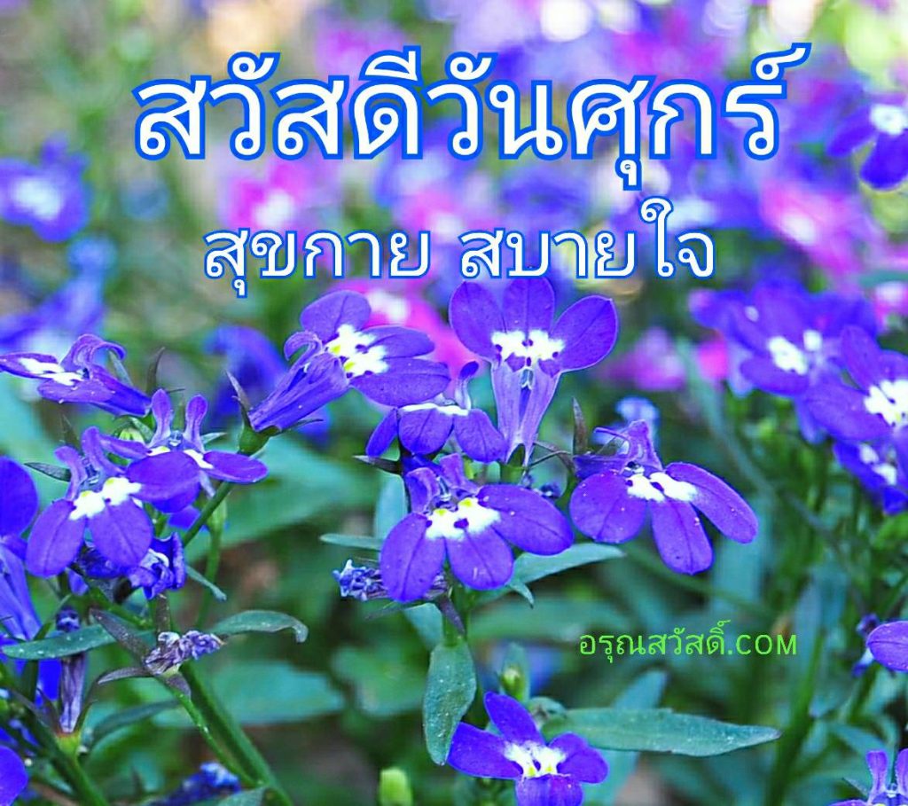 สวัสดีวันศุกร์
