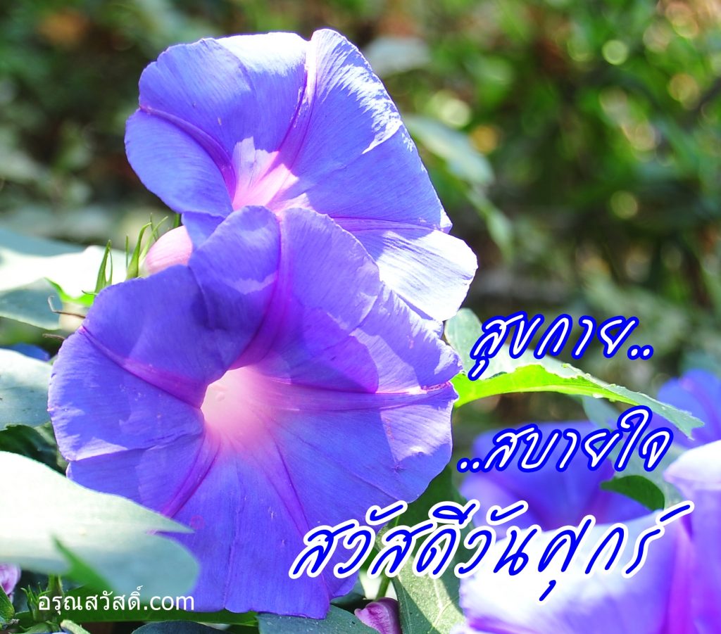สวัสดีวันศุกร์
