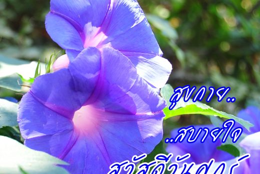 สวัสดีวันศุกร์