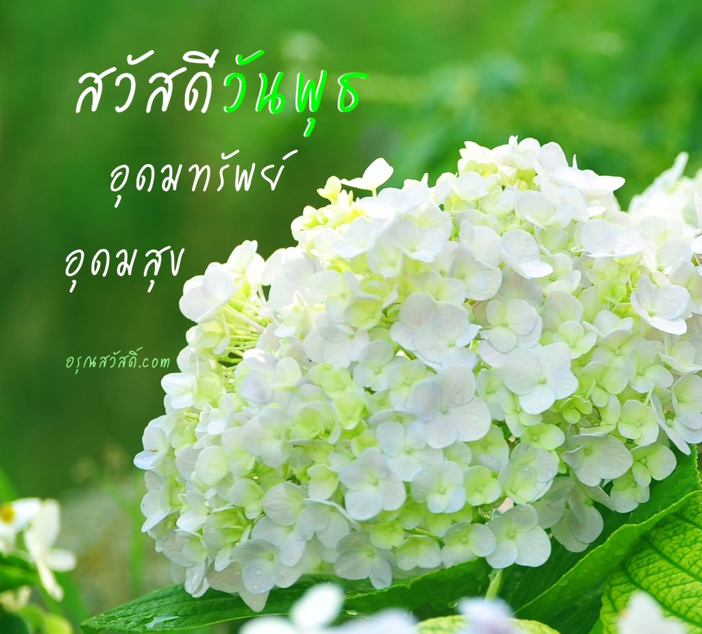 สวัสดีวันพุธ