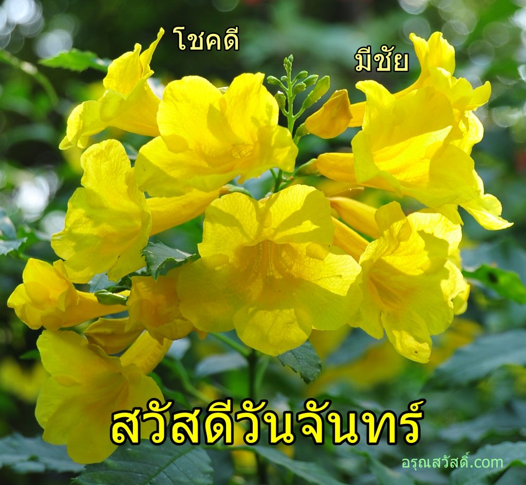 สวัสดีวันจันทร์