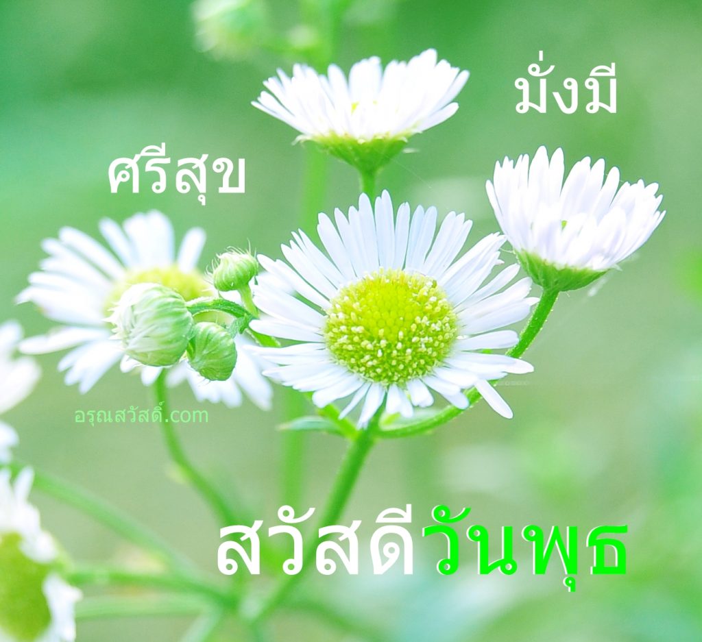สวัสดีวันพุธ