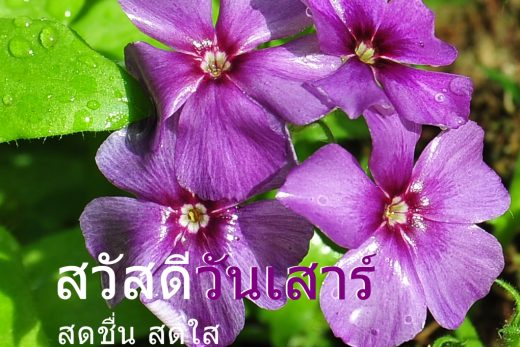สวัสดีวันเสาร์