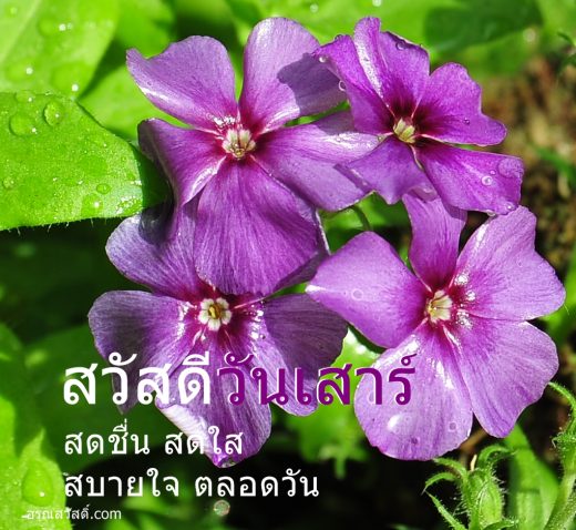 สวัสดีวันเสาร์