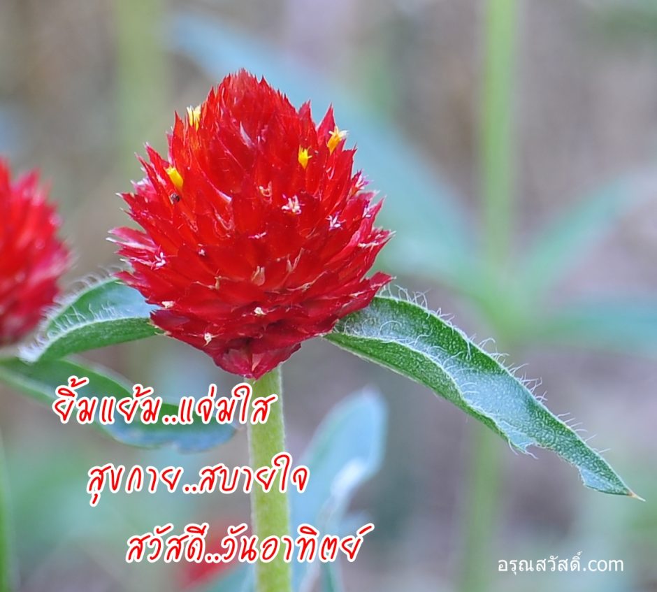 สวัสดีวันอาทิตย์