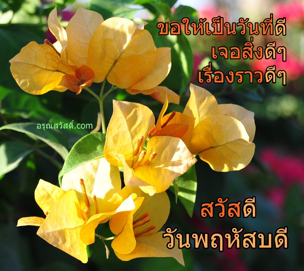 สวัสดีวันพฤหัสบดี