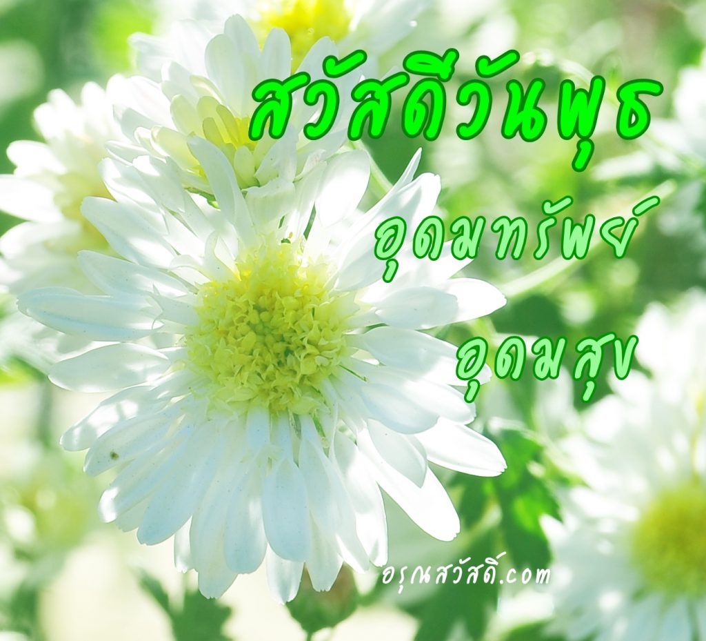 สวัสดีวันพุธ