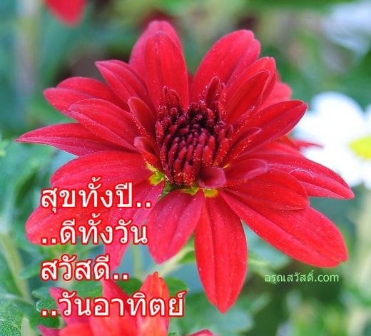 สวัสดีวันอาทิตย์