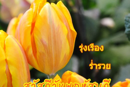 สวัสดีวันพฤหัสบดี