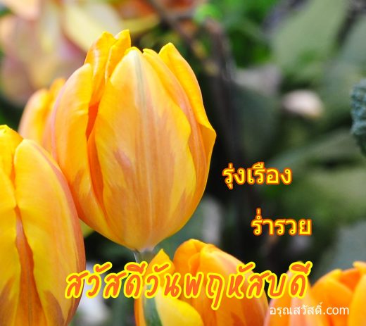สวัสดีวันพฤหัสบดี
