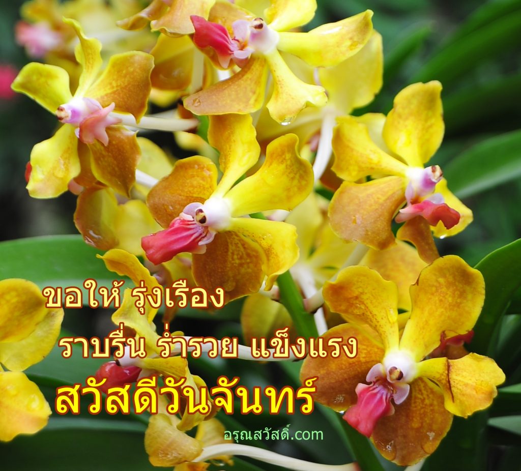 สวัสดีวันจันทร์