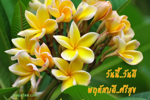 สวัสดีวันพฤหัสบดี