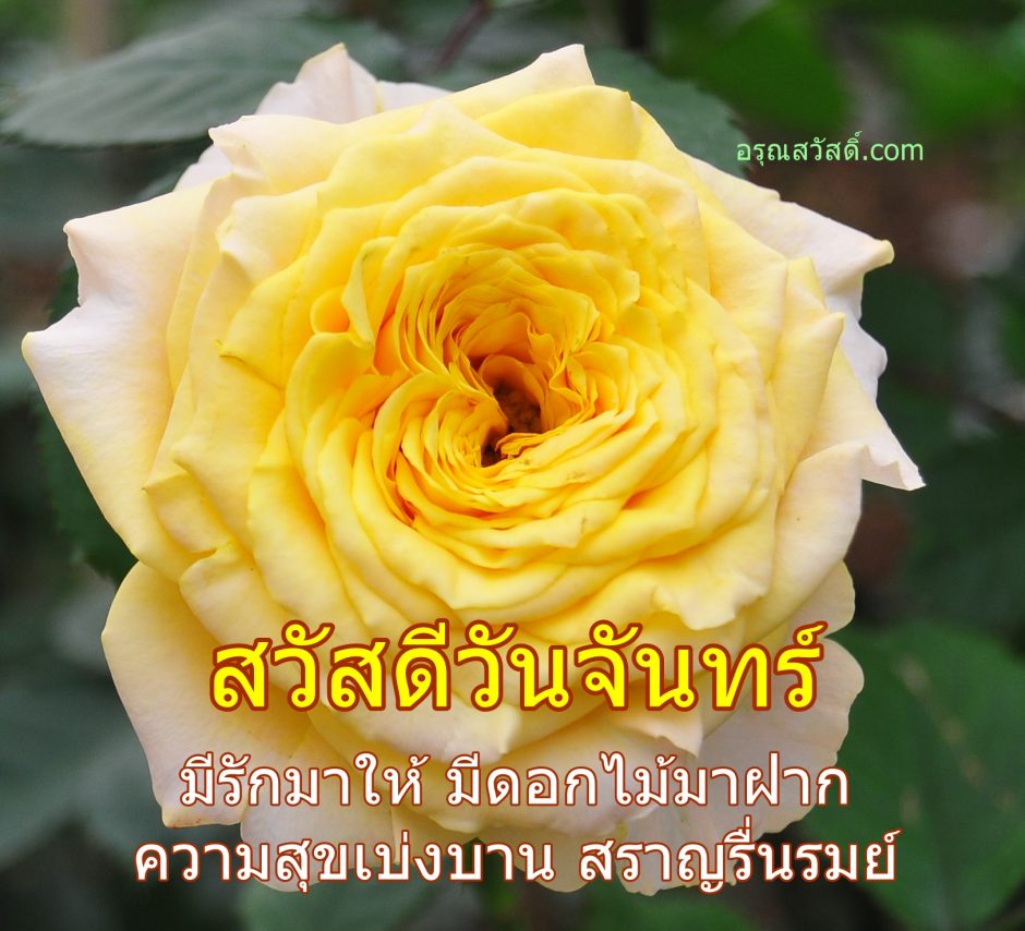 สวัสดีวันจันทร์