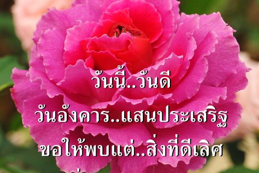 สวัสดีวันอังคาร