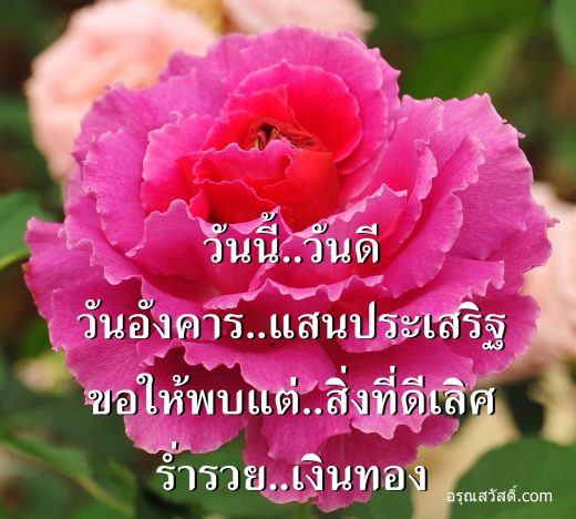 สวัสดีวันอังคาร