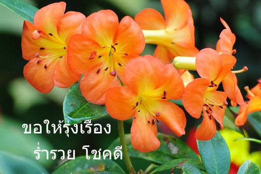 สวัสดีวันพฤหัสบดี