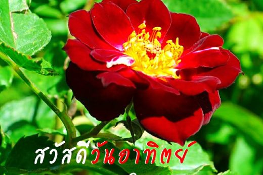 สวัสดีวันอาทิตย์