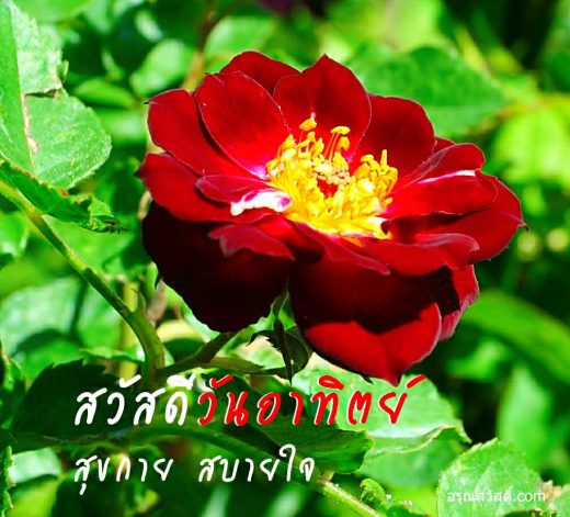 สวัสดีวันอาทิตย์