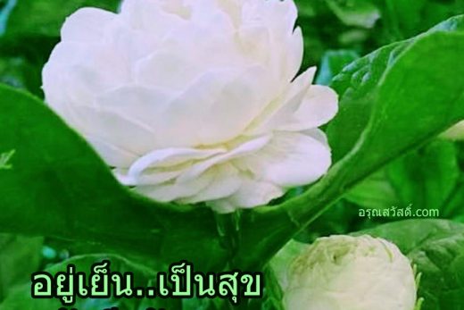 สวัสดีวันพุธ
