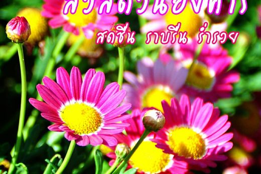 สวัสดีวันอังคาร