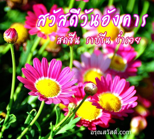 สวัสดีวันอังคาร
