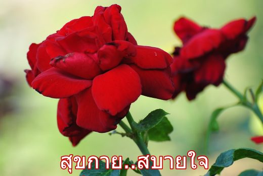 สวัสดีวันอาทิตย์