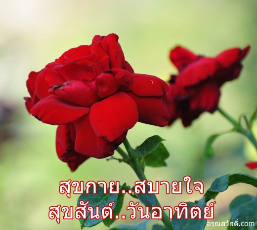 สวัสดีวันอาทิตย์