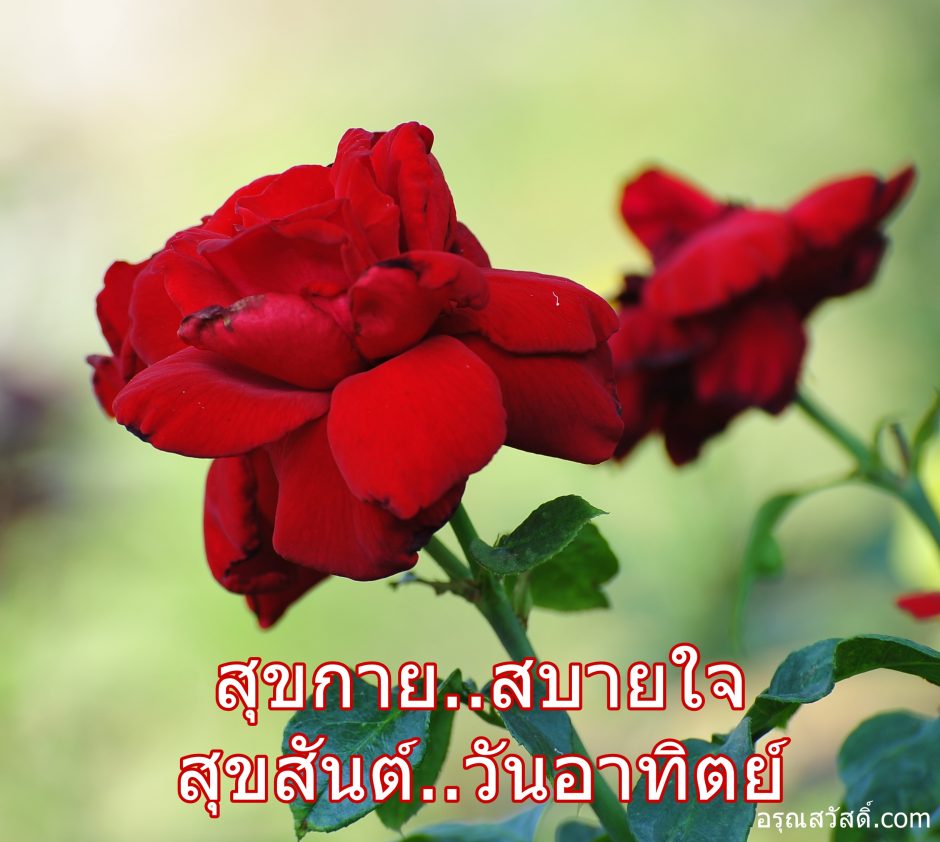 สวัสดีวันอาทิตย์