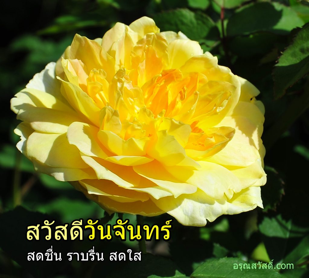 สวัสดีวันจันทร์