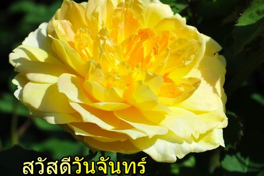 สวัสดีวันจันทร์