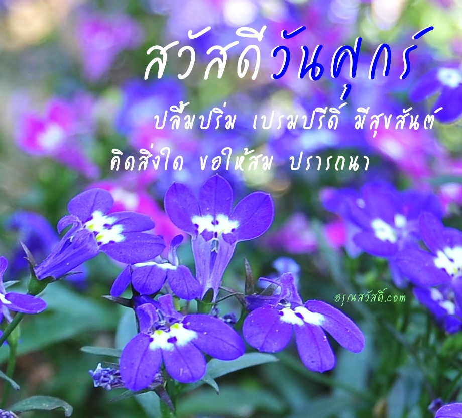 สวัสดีวันศุกร์