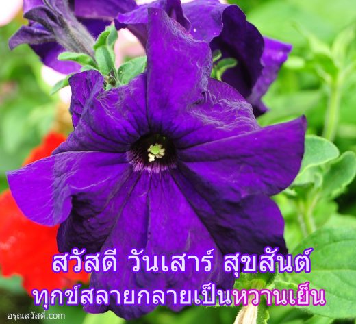 สวัสดีวันเสาร์
