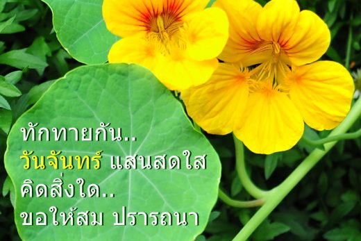 สวัสดีวันจันทร์