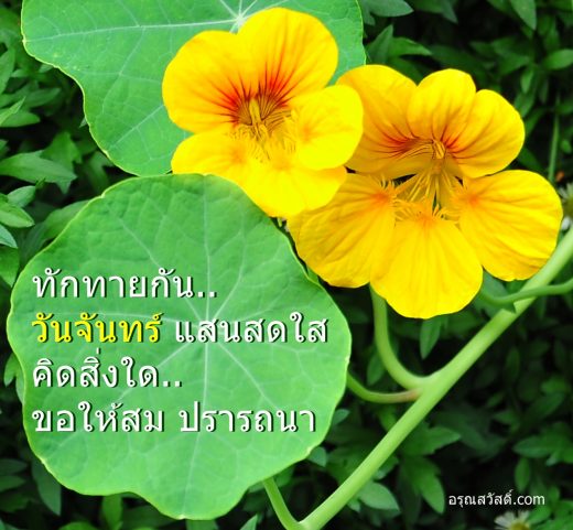 สวัสดีวันจันทร์