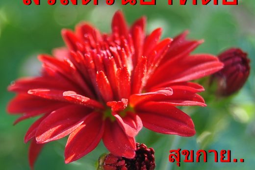 สวัสดีวันอาทิตย์