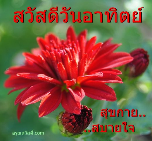 สวัสดีวันอาทิตย์
