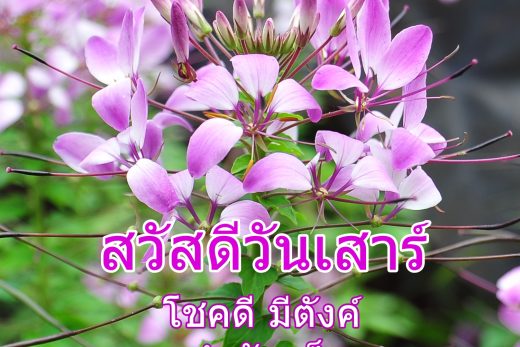 สวัสดีวันเสาร์